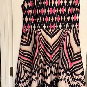 Taylor Black and Pink Dress